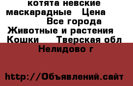 котята невские маскарадные › Цена ­ 18 000 - Все города Животные и растения » Кошки   . Тверская обл.,Нелидово г.